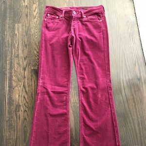 AG Burgundy Corduroy Pant